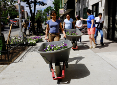 Students wheel flowers through the neighborhood during a beautification project in the Bronx. 
