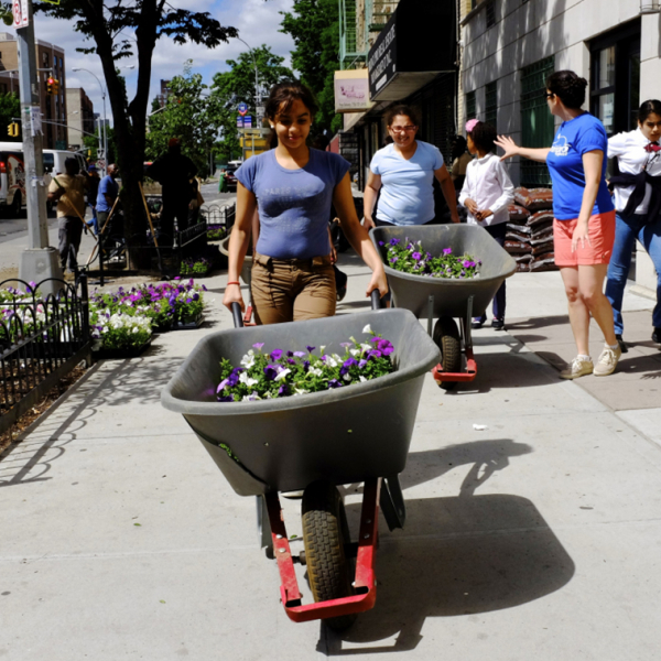 Students wheel flowers through the neighborhood during a beautification project in the Bronx. 